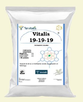 VITALIS 19-19-19